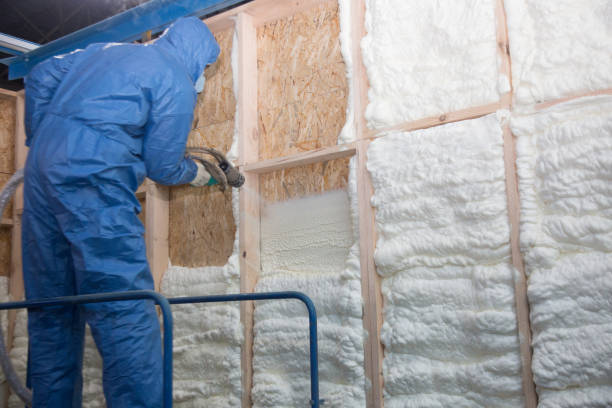 Best Commercial Insulation Services  in Sebastopol, CA